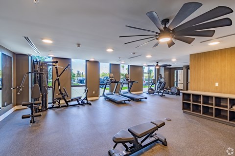 A spacious gym with a variety of equipment including treadmills, weights, and a bench press.