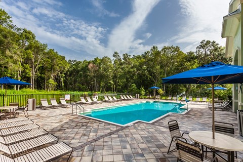 A pool surrounded by chairs and umbrellas.