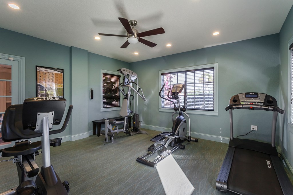 a home gym with treadmills and elliptical machines