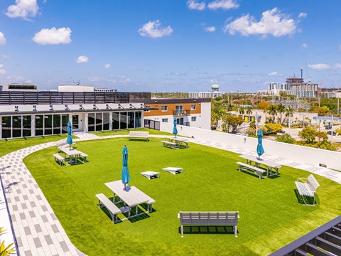 A sunny day at the park with green grass and blue umbrellas.