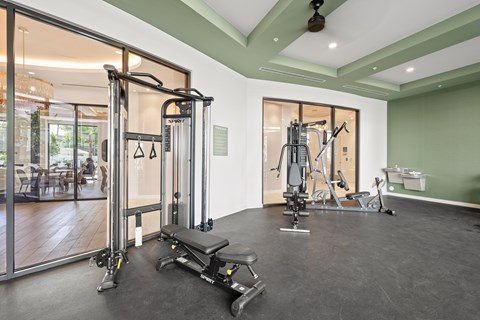 A gym with a variety of equipment including a treadmill, weights, and a bench press.