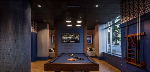 accommodation type with a pool table  at Shearwood Station, New Rochelle