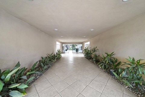 A long hallway with plants on the sides.