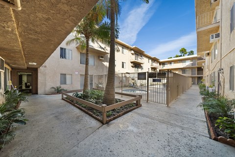 A courtyard with a palm tree and a fence.