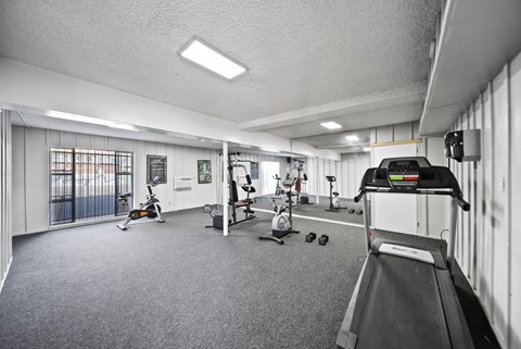 A gym with a treadmill, exercise bike, and other equipment.