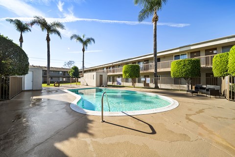 A pool surrounded by palm trees and bushes.