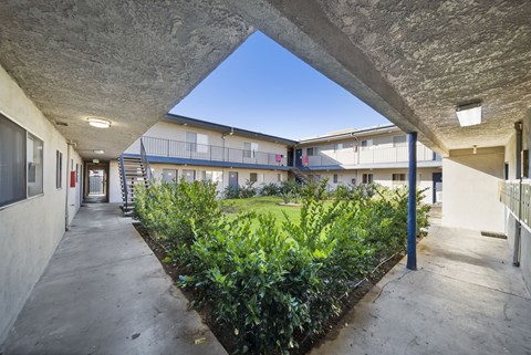 A courtyard with a green lawn and plants.