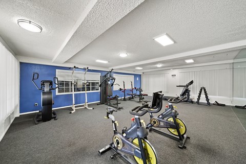 A gym with a blue wall and a variety of exercise equipment.