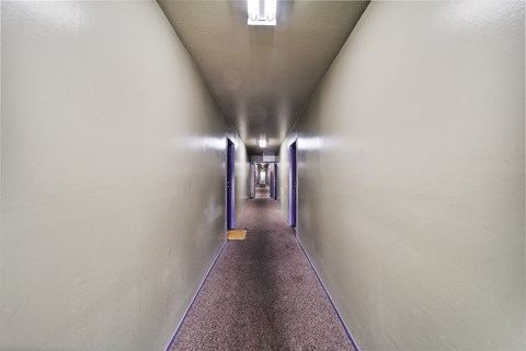 A long hallway with a purple line on the floor.