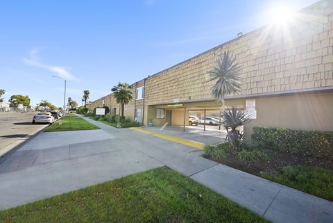 A sunny day at a commercial building with a palm tree in front.