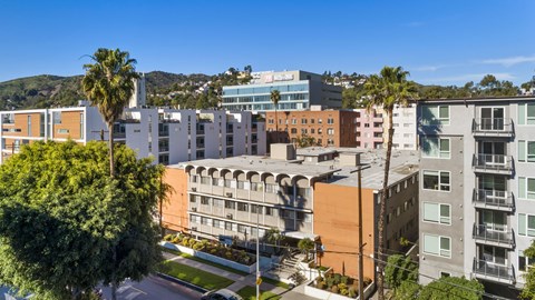 A view of a residential area with buildings and palm trees.