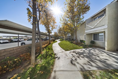 A sunny day in a residential area with a sidewalk and trees.
