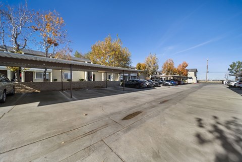 A parking lot with a building and trees in the background.