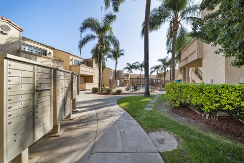 A row of mailboxes line a sidewalk in front of apartment buildings.