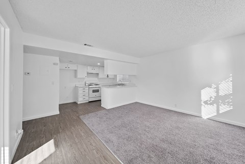A spacious living room with a grey carpet and wooden flooring.