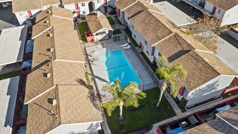 A swimming pool is surrounded by palm trees and a grassy area.