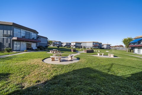 A sunny day at a park with picnic tables and a grassy area.