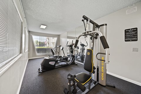 A gym with a rowing machine, a stationary bike, and a weight machine.
