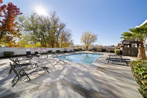 A sunny day at the outdoor pool with trees and a building in the background.