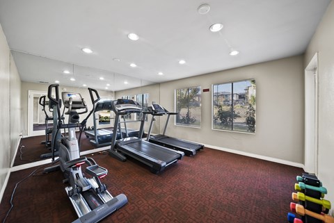 A home gym with a treadmill, elliptical machines, and a rowing machine.