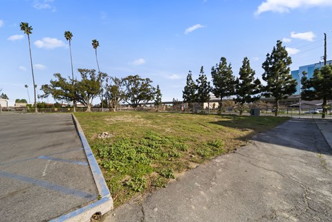 A parking lot with a blue line painted on the ground.