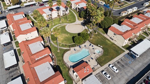 A swimming pool is surrounded by a grassy area and palm trees.