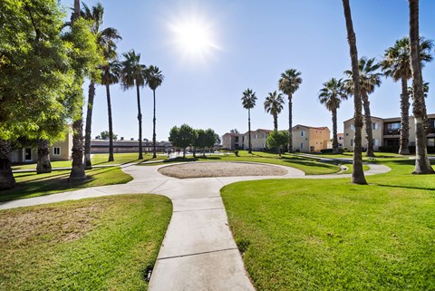A sunny day in a park with palm trees and a walking path.