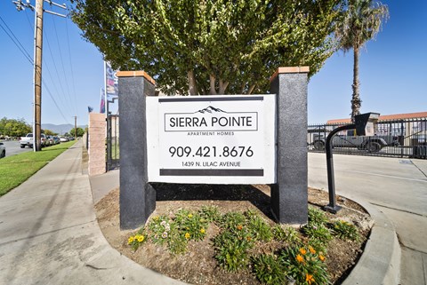 A sign for Sierra Pointe Apartment Homes stands in front of a tree.