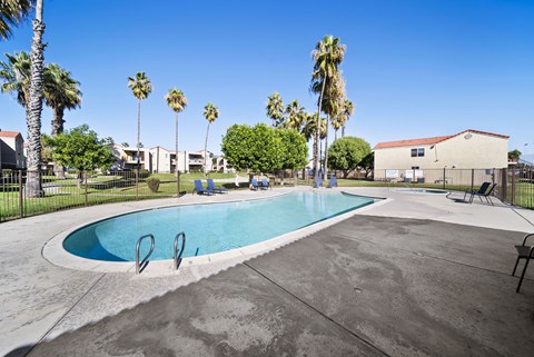 A swimming pool surrounded by palm trees and lounge chairs.