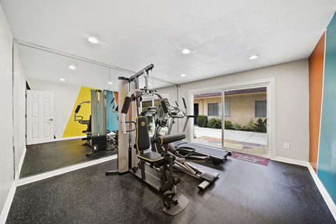 A gym with a treadmill, weights, and other exercise equipment.