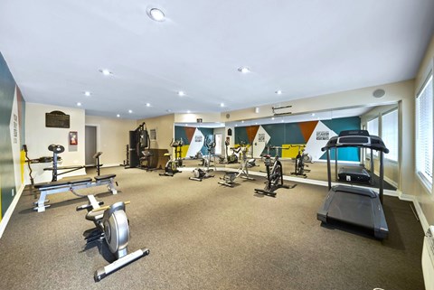 A gym with a variety of exercise equipment including treadmills, stationary bikes, and weight machines.
