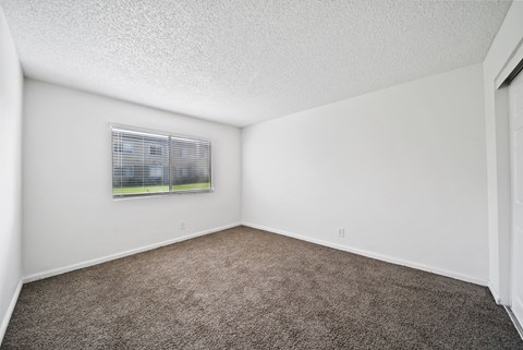 A room with a carpeted floor and a window with blinds.