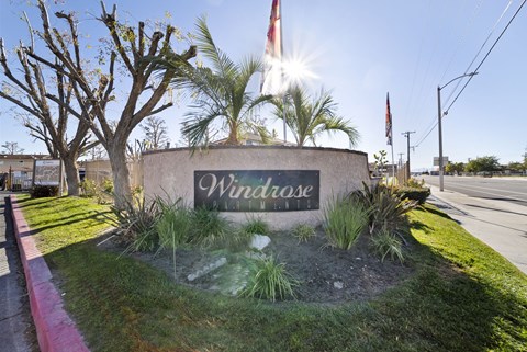 A sign that says Windrose is in front of a tree.