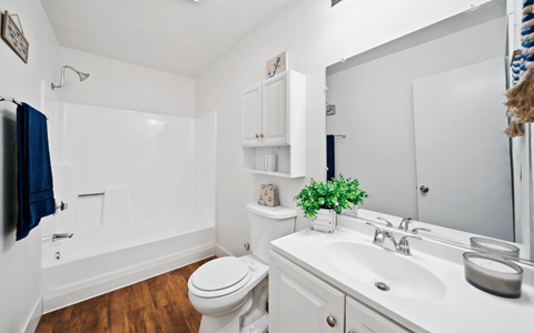 A white bathroom with a toilet, sink, and shower.