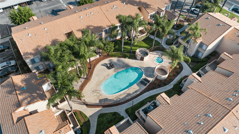 A swimming pool surrounded by palm trees and a sandy area.