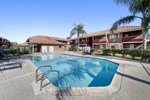 A swimming pool in a sunny outdoor setting.