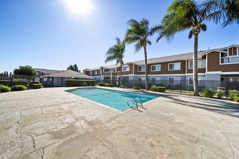 A sunny day at the pool with palm trees and apartment buildings in the background.