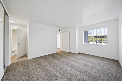 A large, empty room with a carpeted floor and a window showing an outdoor view.