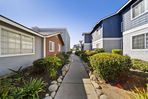 A row of houses with a sidewalk in between.