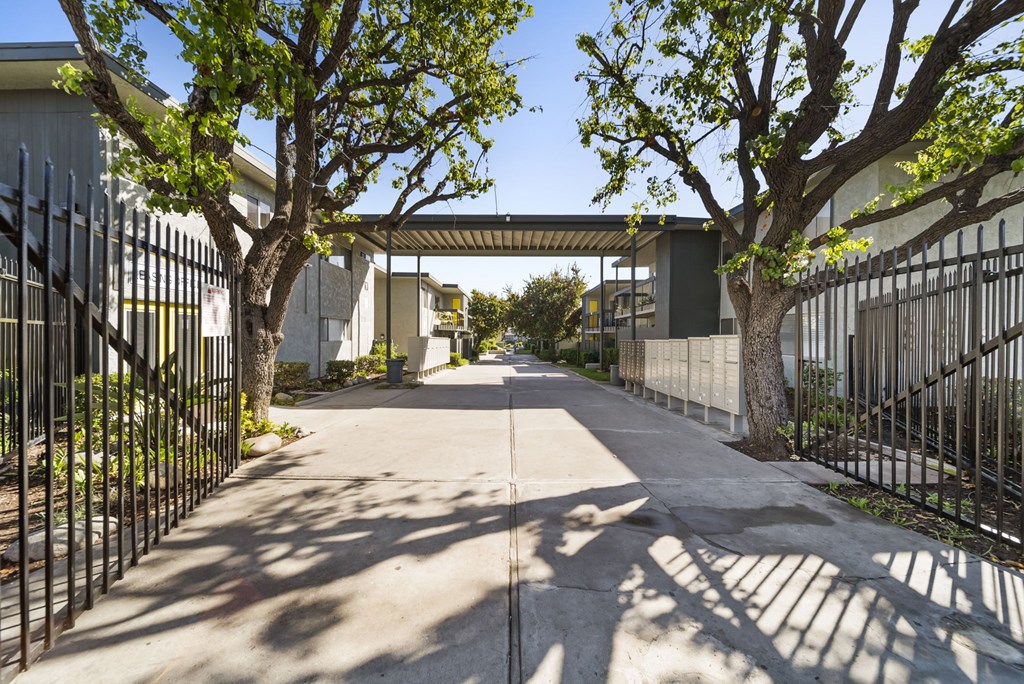 A tree-lined walkway leads to a building.