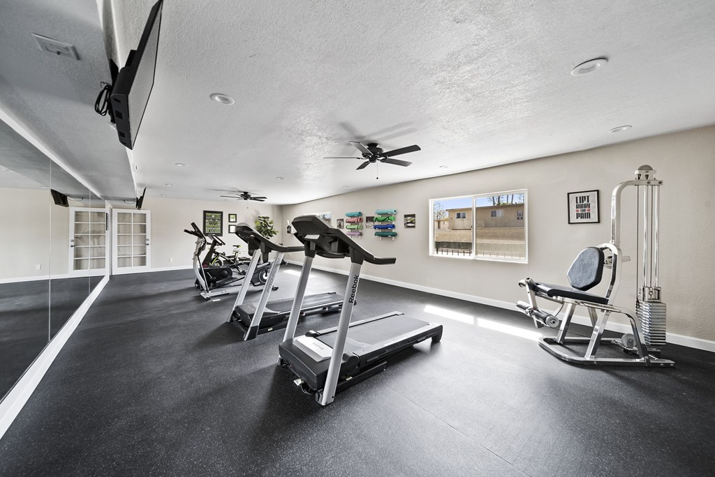 A spacious room with treadmills and exercise equipment.