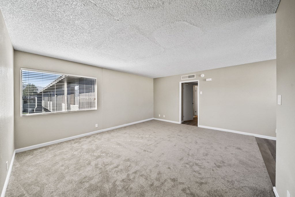 A room with a carpeted floor and a window with blinds.