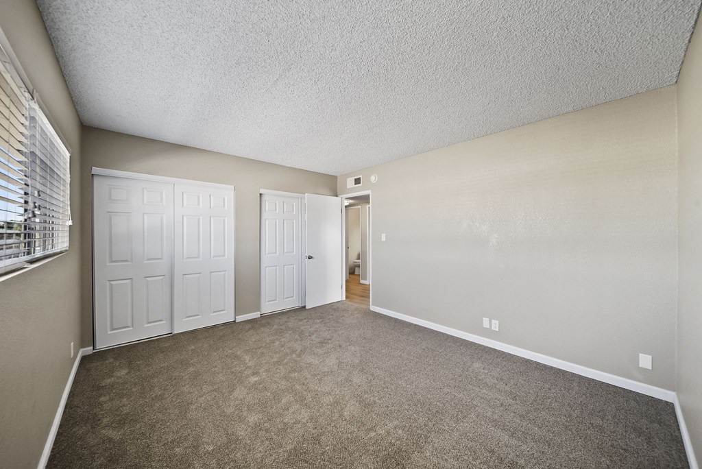 A room with a carpeted floor and two white doors.