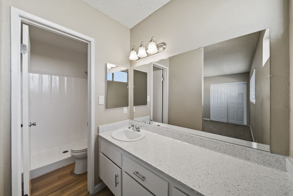 A bathroom with a sink, mirror, and toilet.