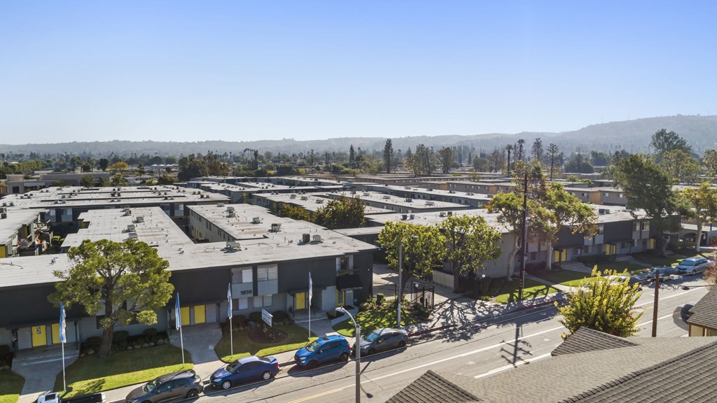 A sunny day in a residential area with houses and parked cars.