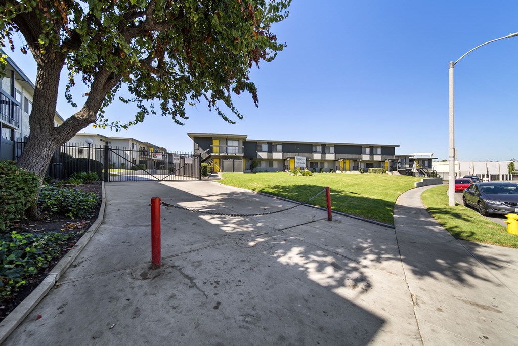 A tree with green leaves is in the foreground of a sunny day.