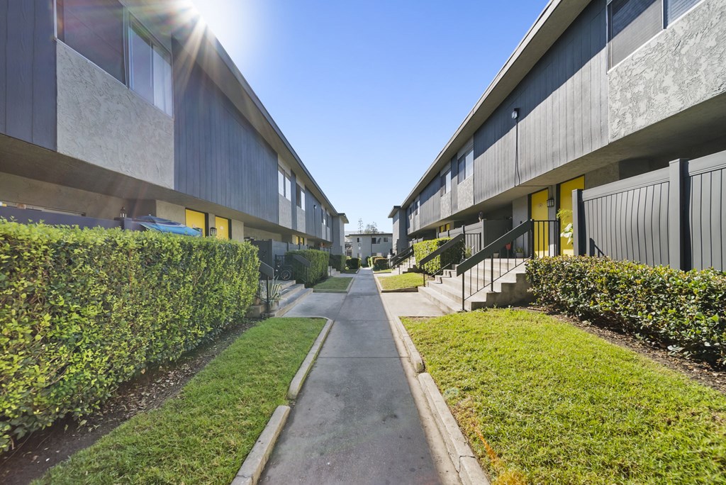 A sunny day in a residential area with apartment buildings on either side of a central walkway.