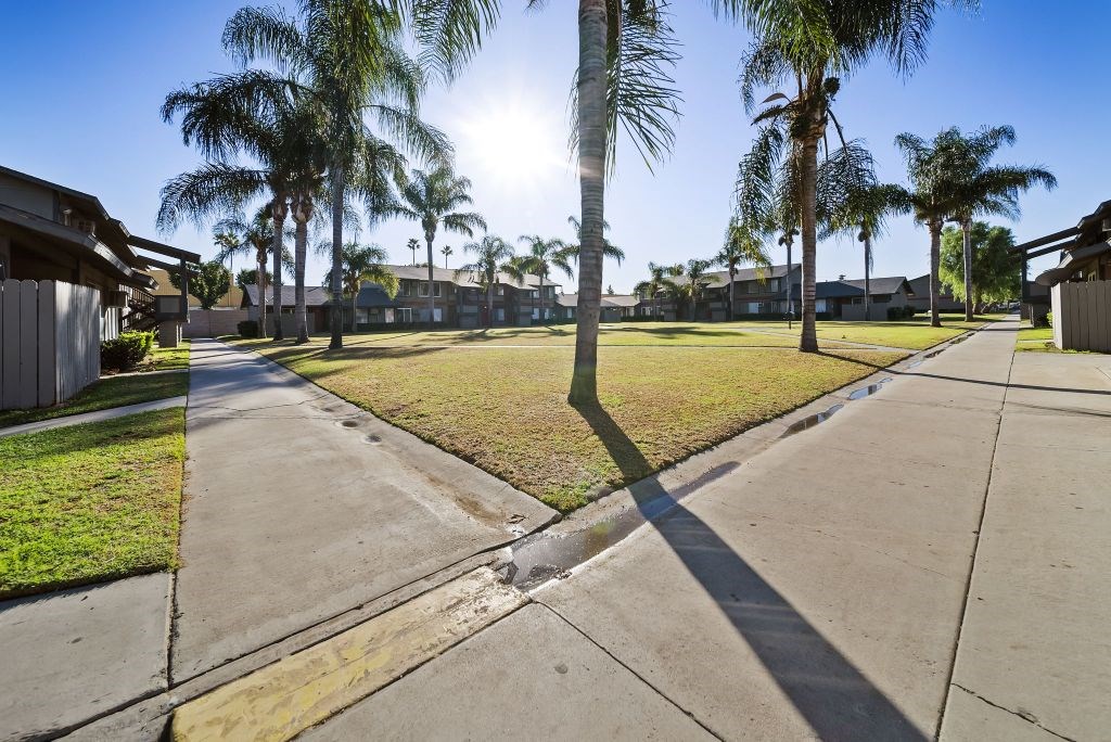 A sunny day in a quiet residential street with palm trees.