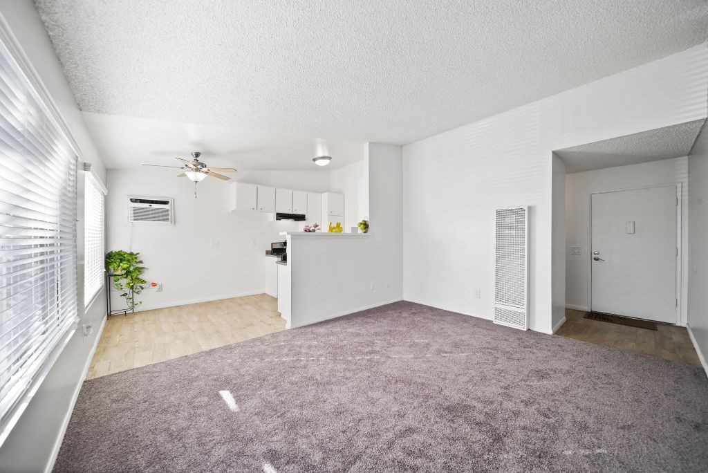 A room with a purple carpet and white walls.
