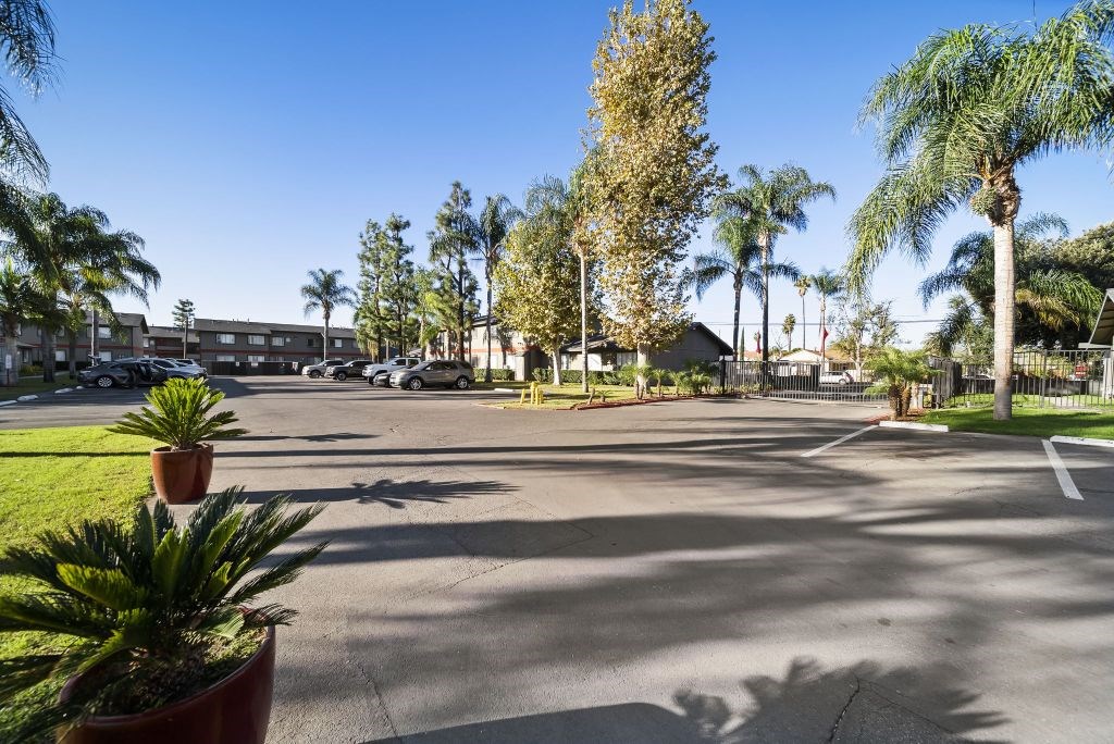 A sunny day at the parking lot with palm trees and a clear blue sky.